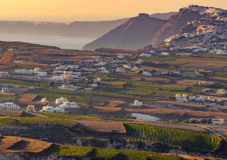 Santorini Wine Tour Mobile