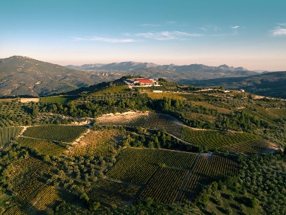 Semeli Estate