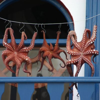 Octopus in Mykonos