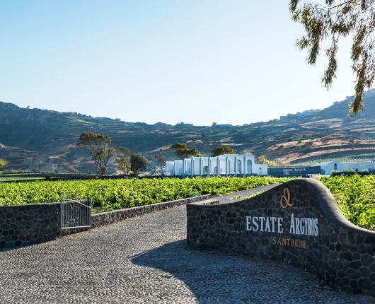Estate Argyros