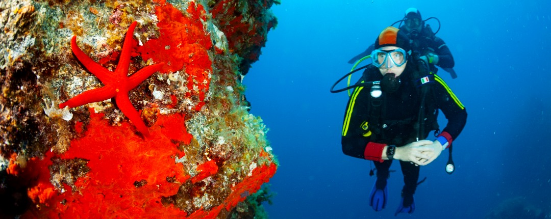 Santorini Scuba Diving