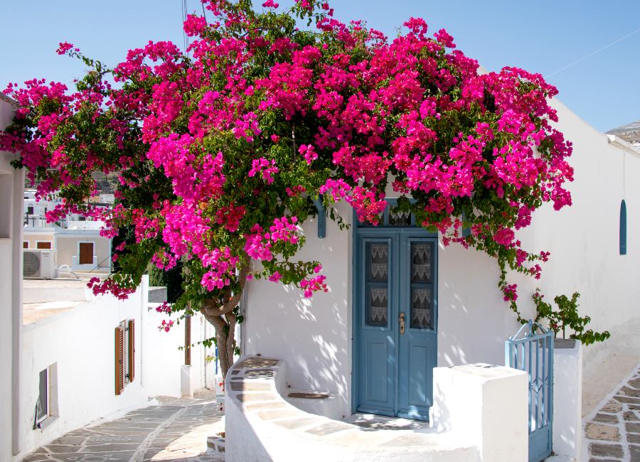 Lefkes