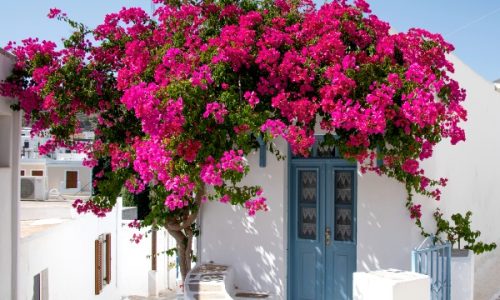 Paros Village