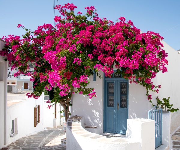 Paros Village