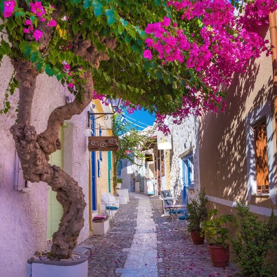 Narrow path in Syros with flowers
