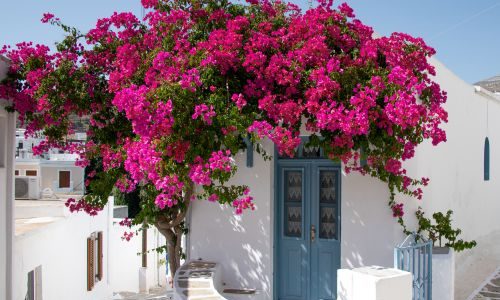Paros