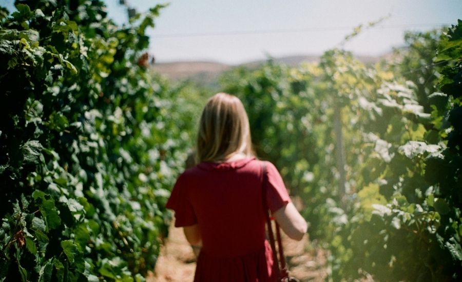 Woman walking through vineyard